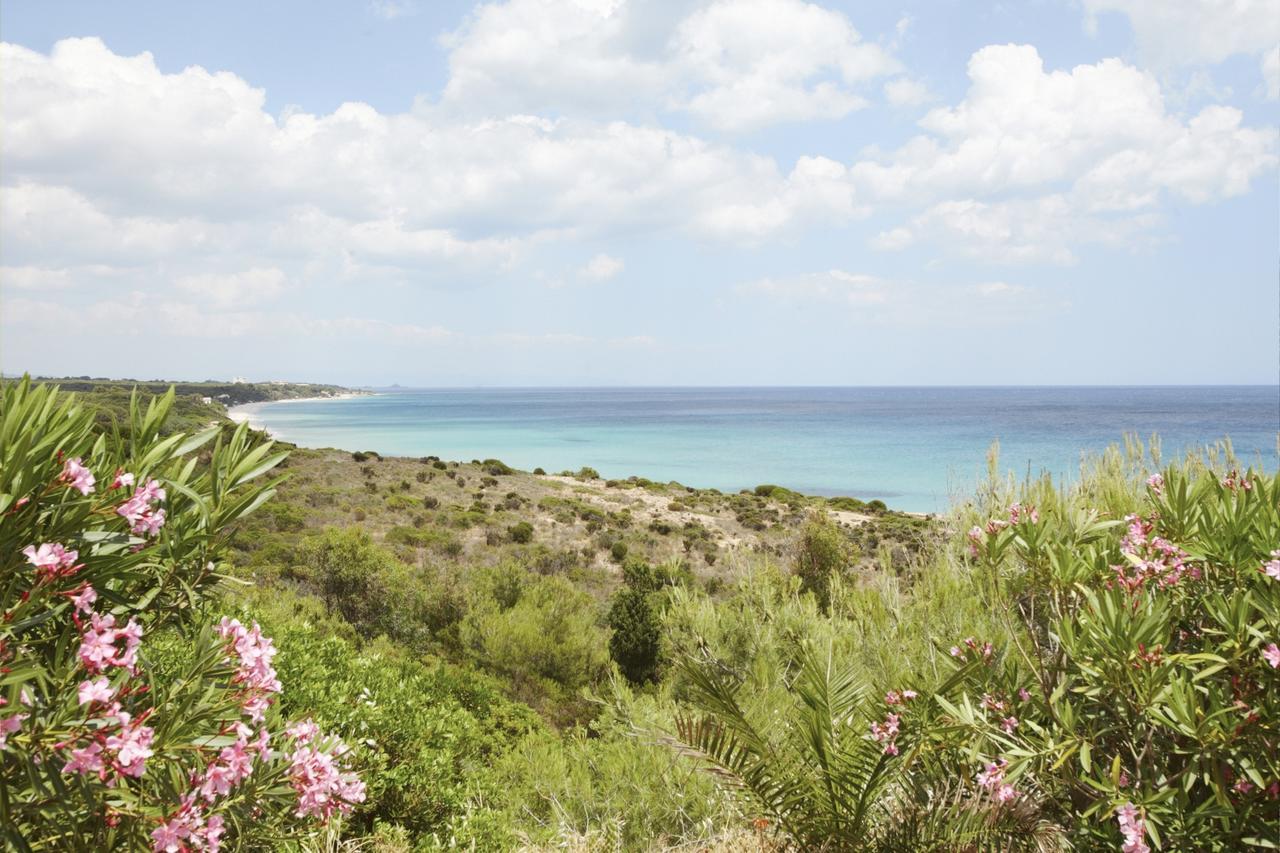 Pinus Village Sea Front Apartment Pula Extérieur photo